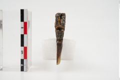 Foto von Bimetalldolchmesser (NHMW-PRAE-025678)